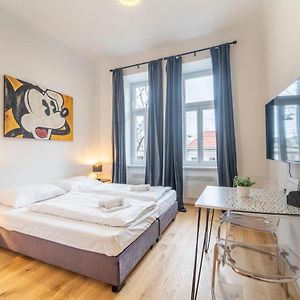 Appartement met een Slaapkamer